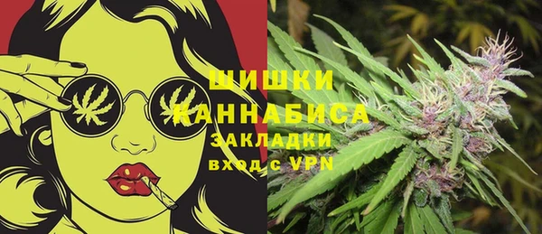 шишки Алзамай