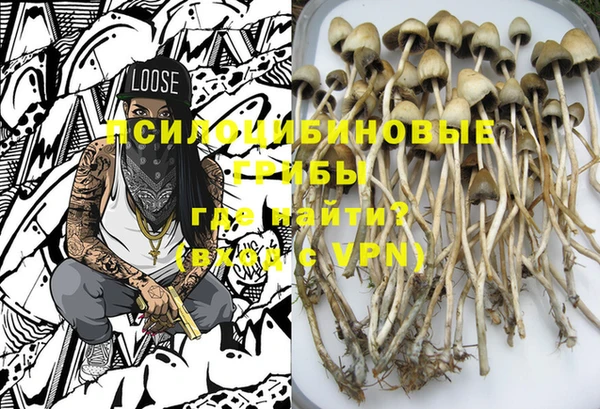 шишки Алзамай